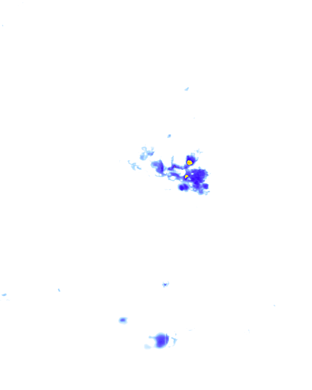 rainLayer