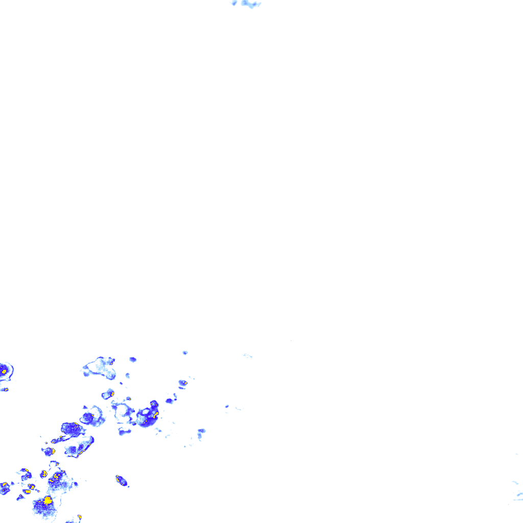 rainLayer