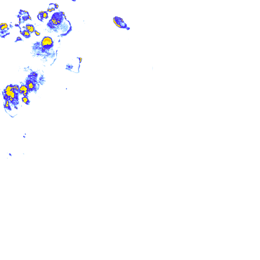 rainLayer