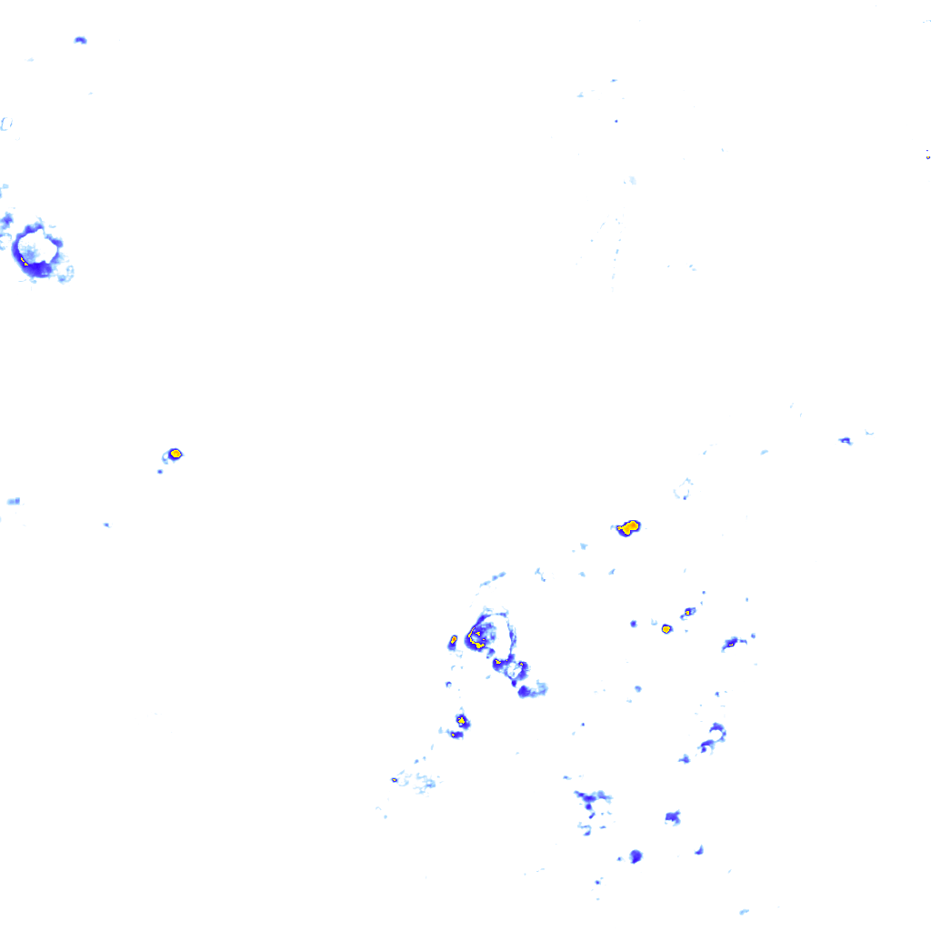 rainLayer