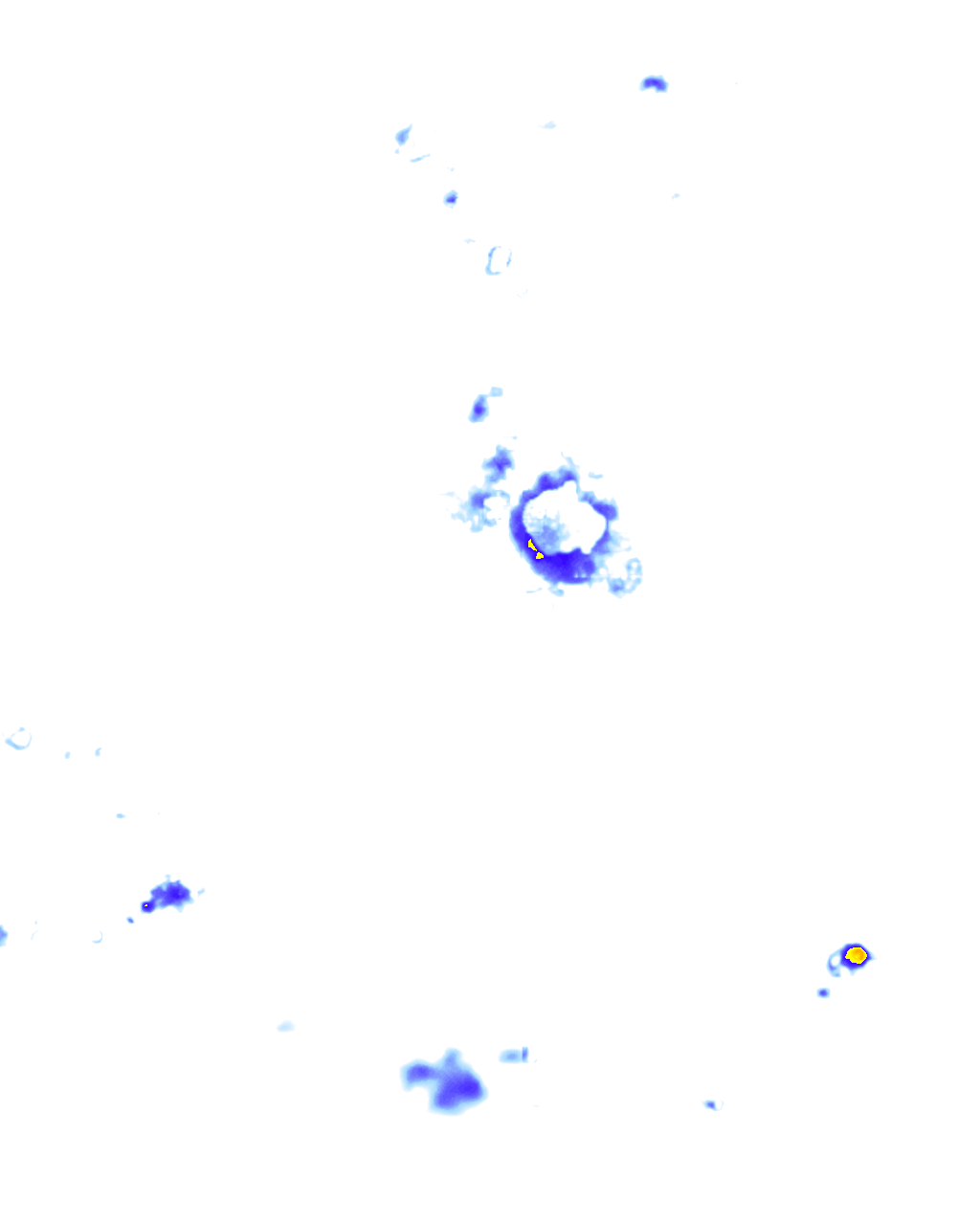 rainLayer