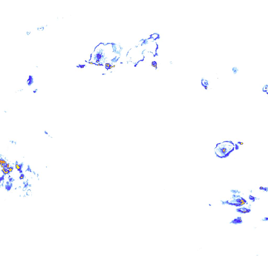 rainLayer