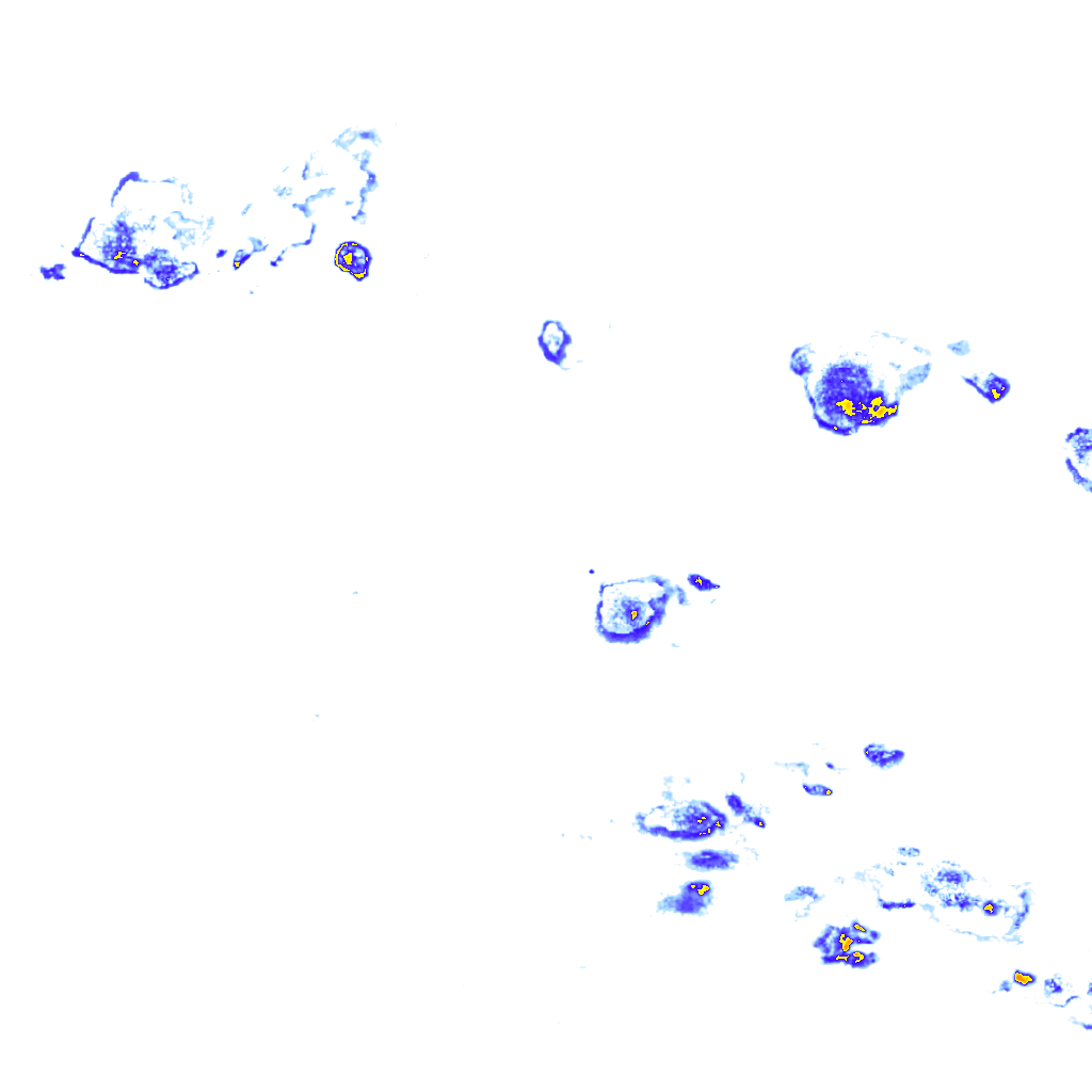 Image Layer
