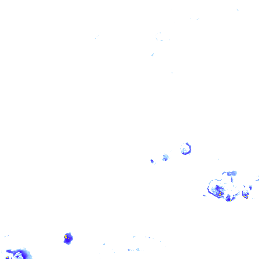 rainLayer