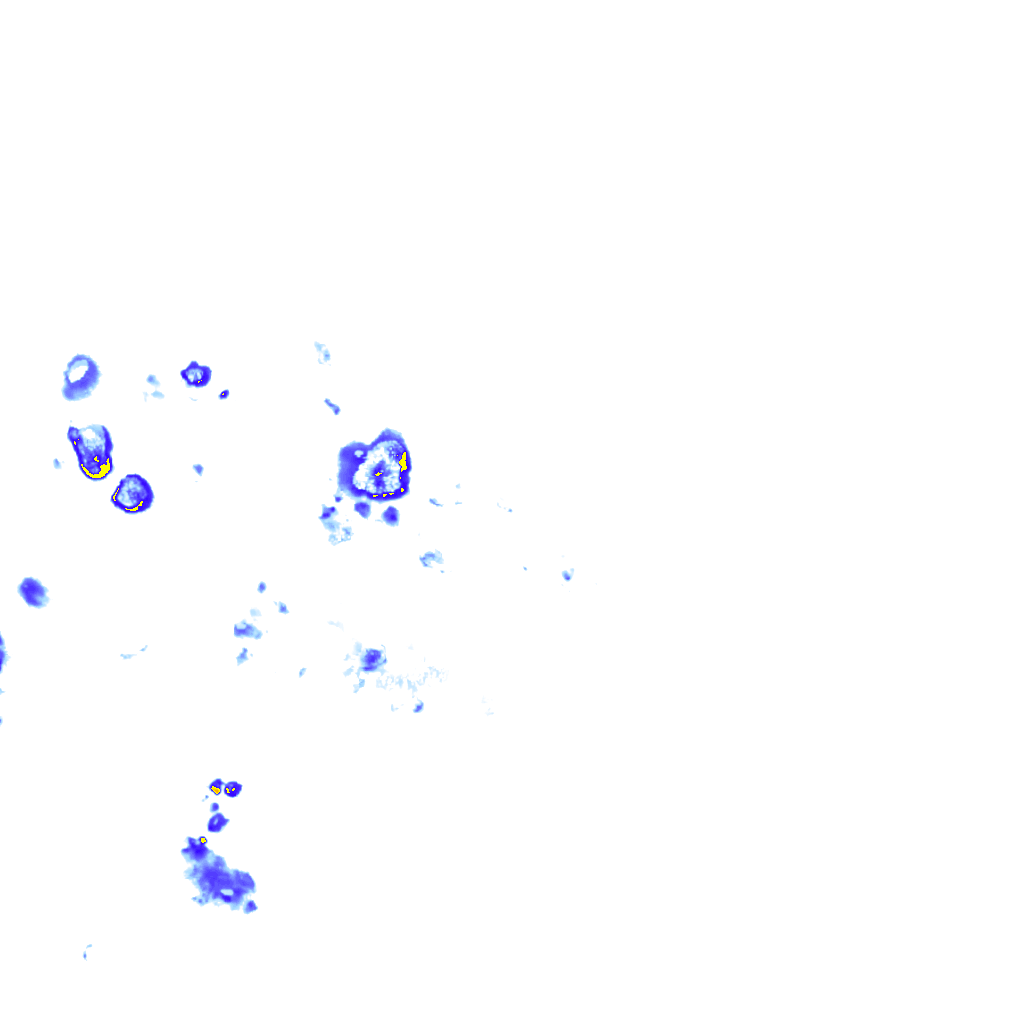 rainLayer