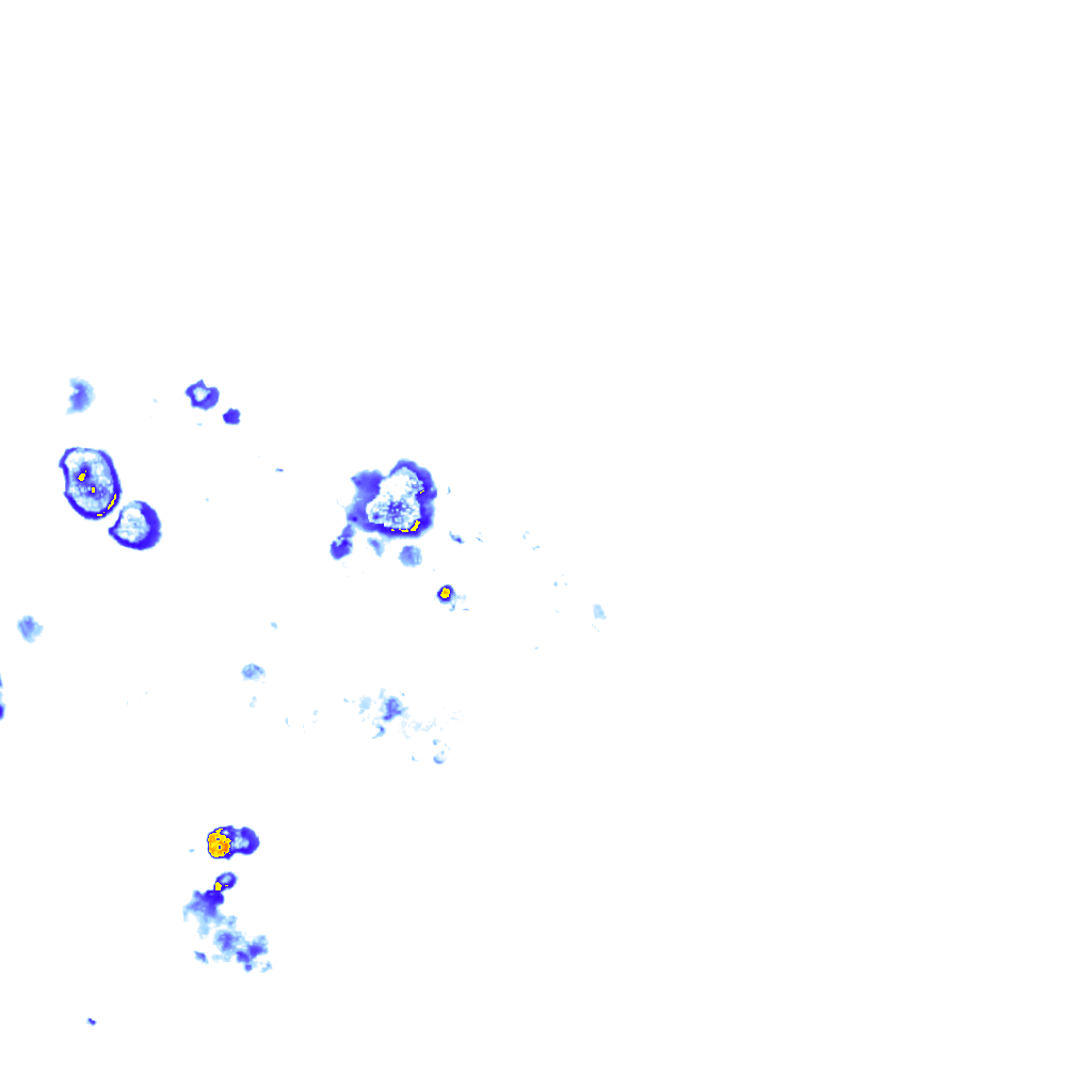 rainLayer