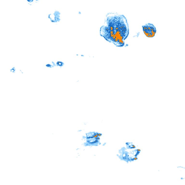 rain layer