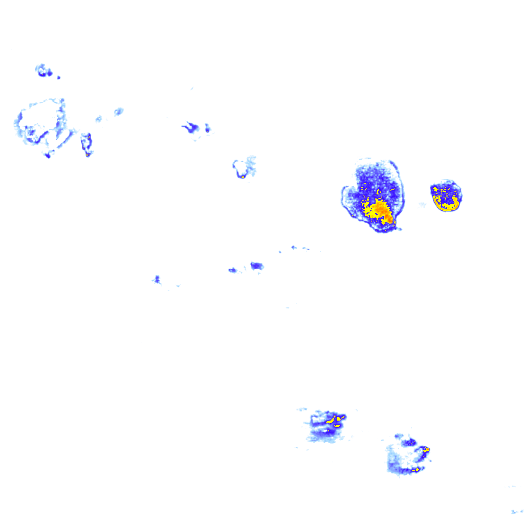 Image Layer