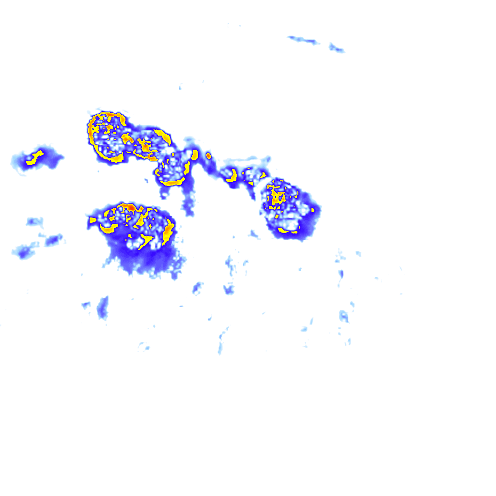 Image Layer