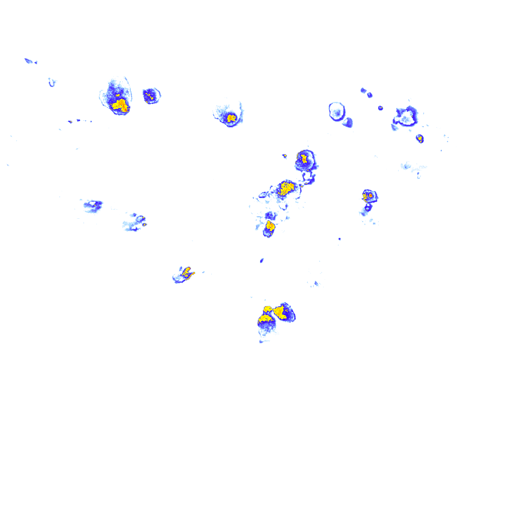 rainLayer