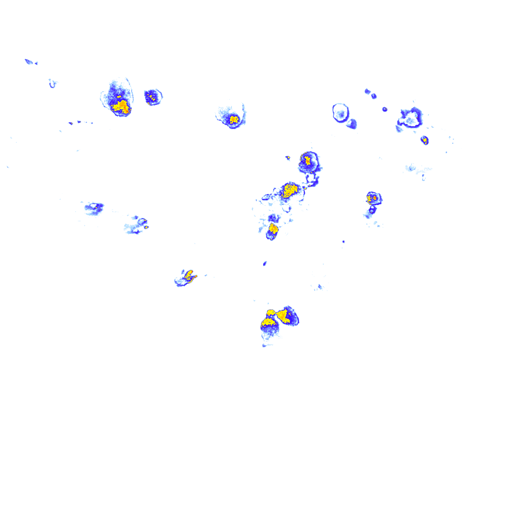 rainLayer