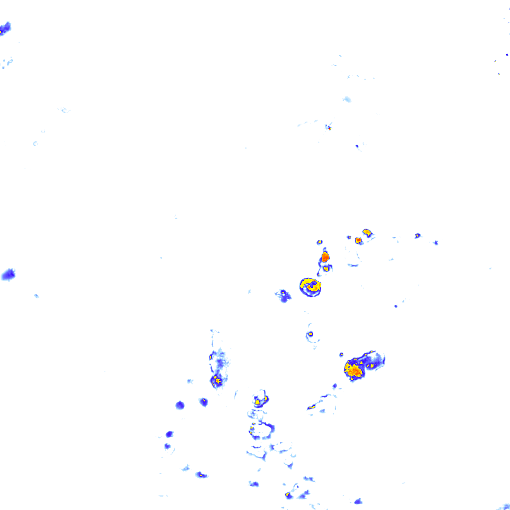 rainLayer