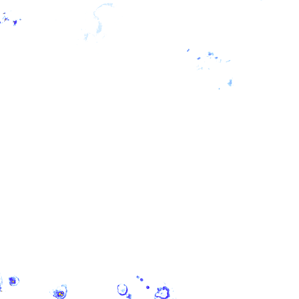 rainLayer