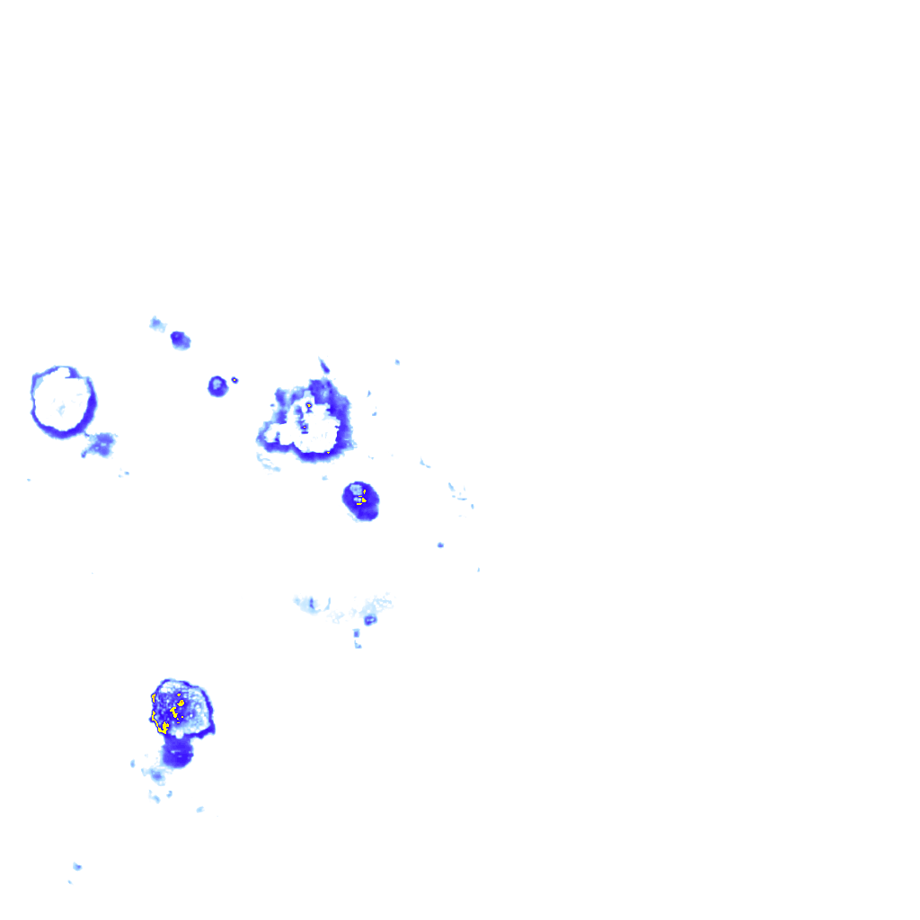 Image Layer