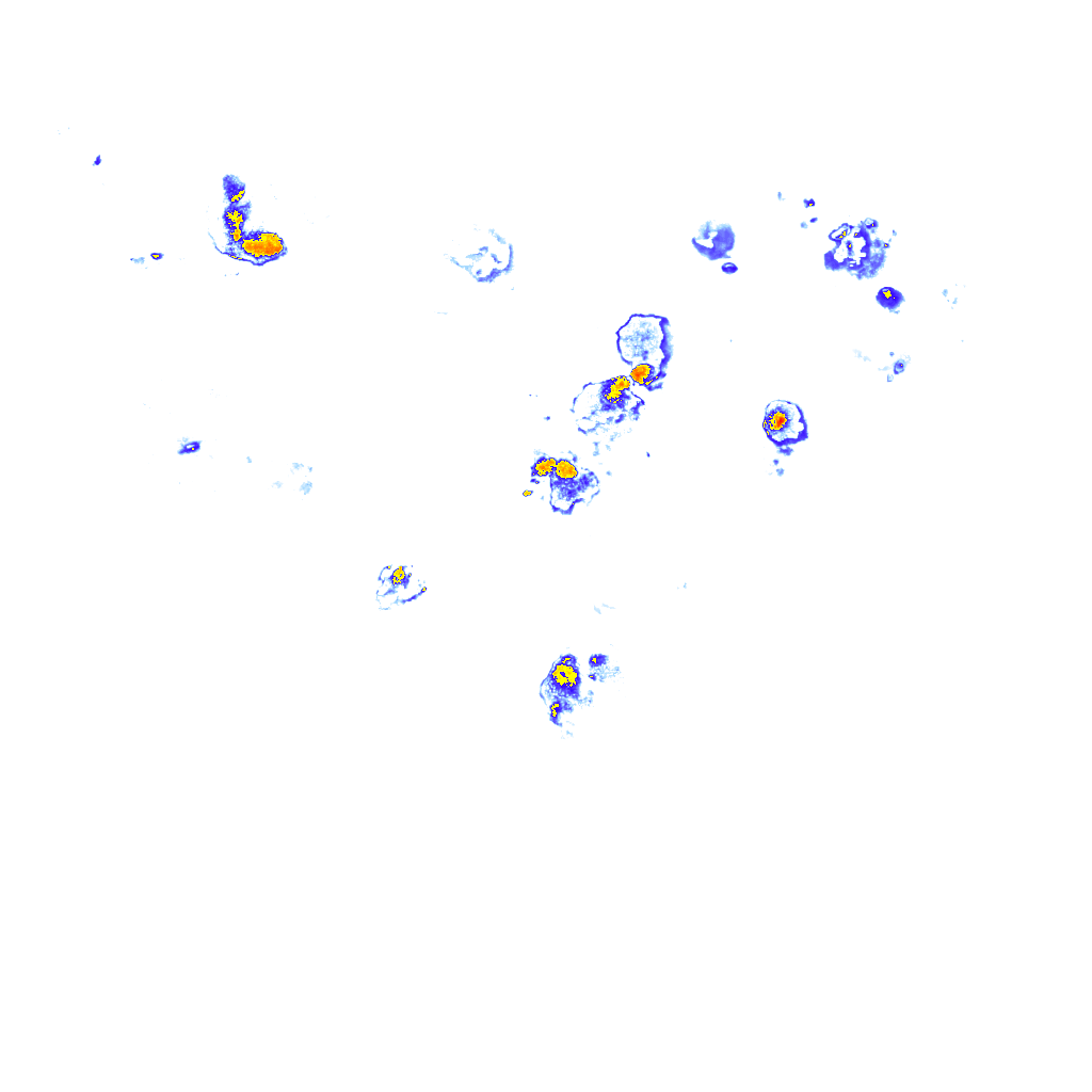 Image Layer