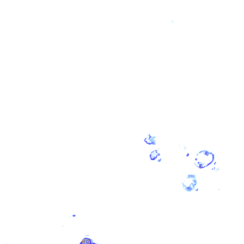 rainLayer