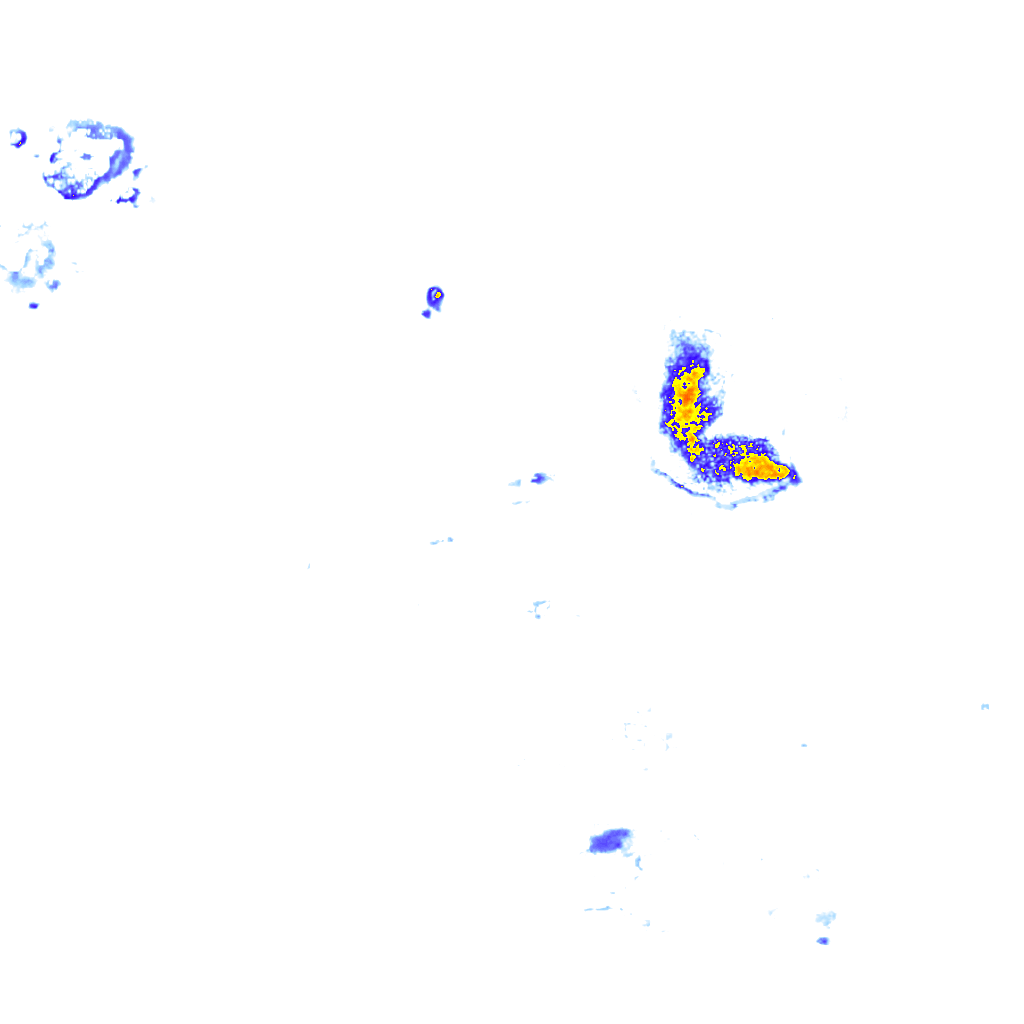 rainLayer