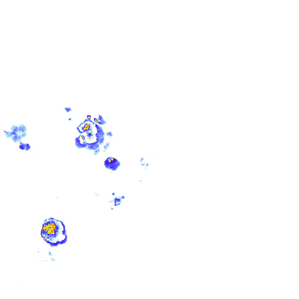 rainLayer