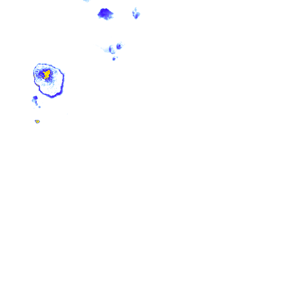Image Layer