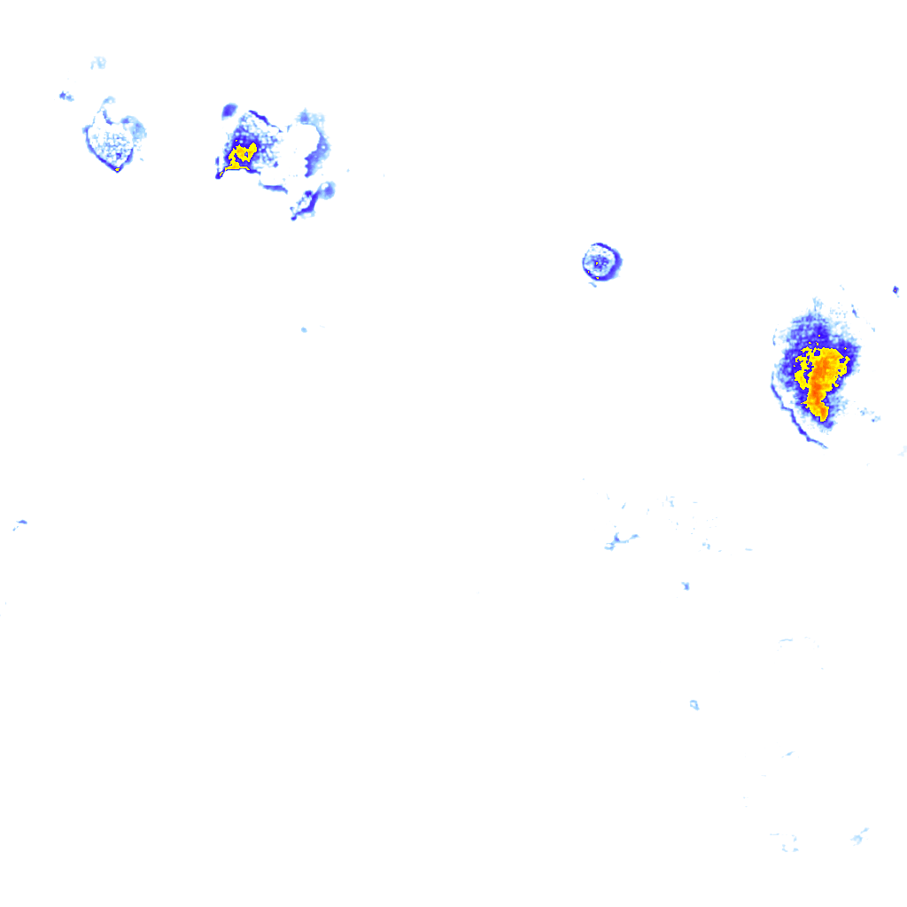Image Layer