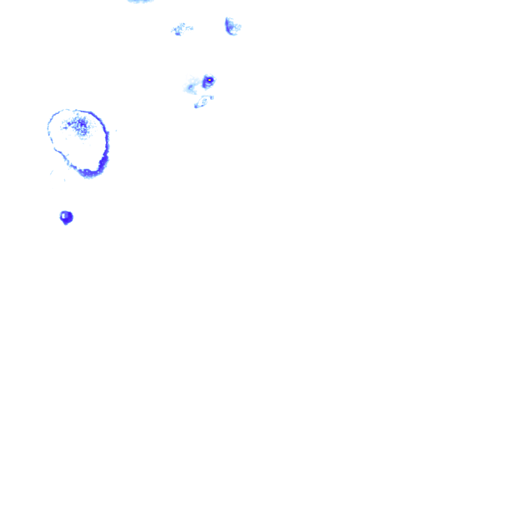 rainLayer
