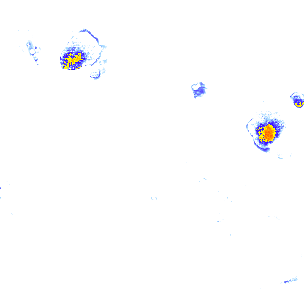 rainLayer