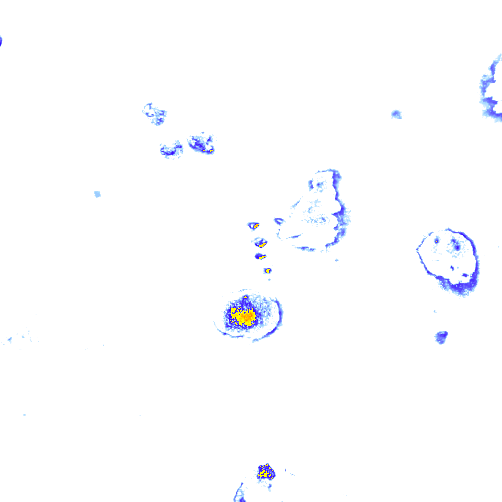 rainLayer