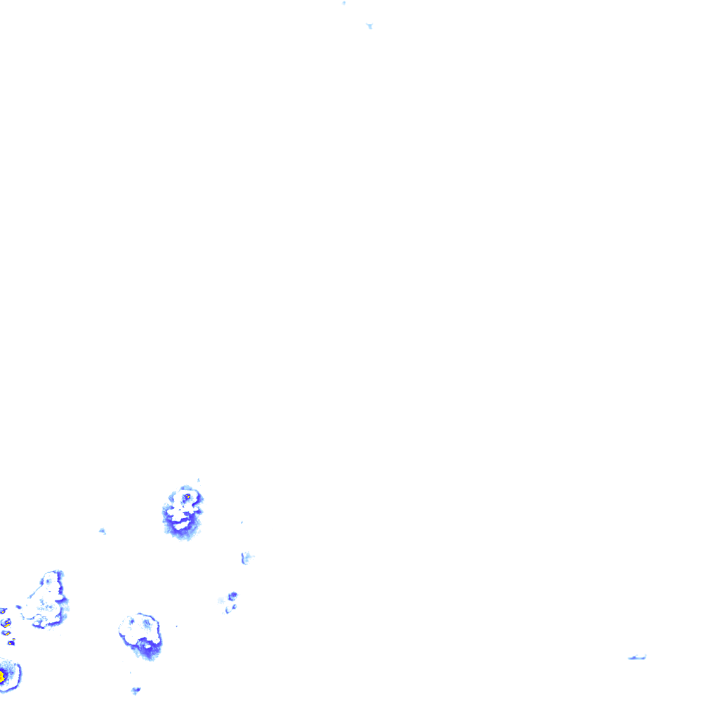 rainLayer