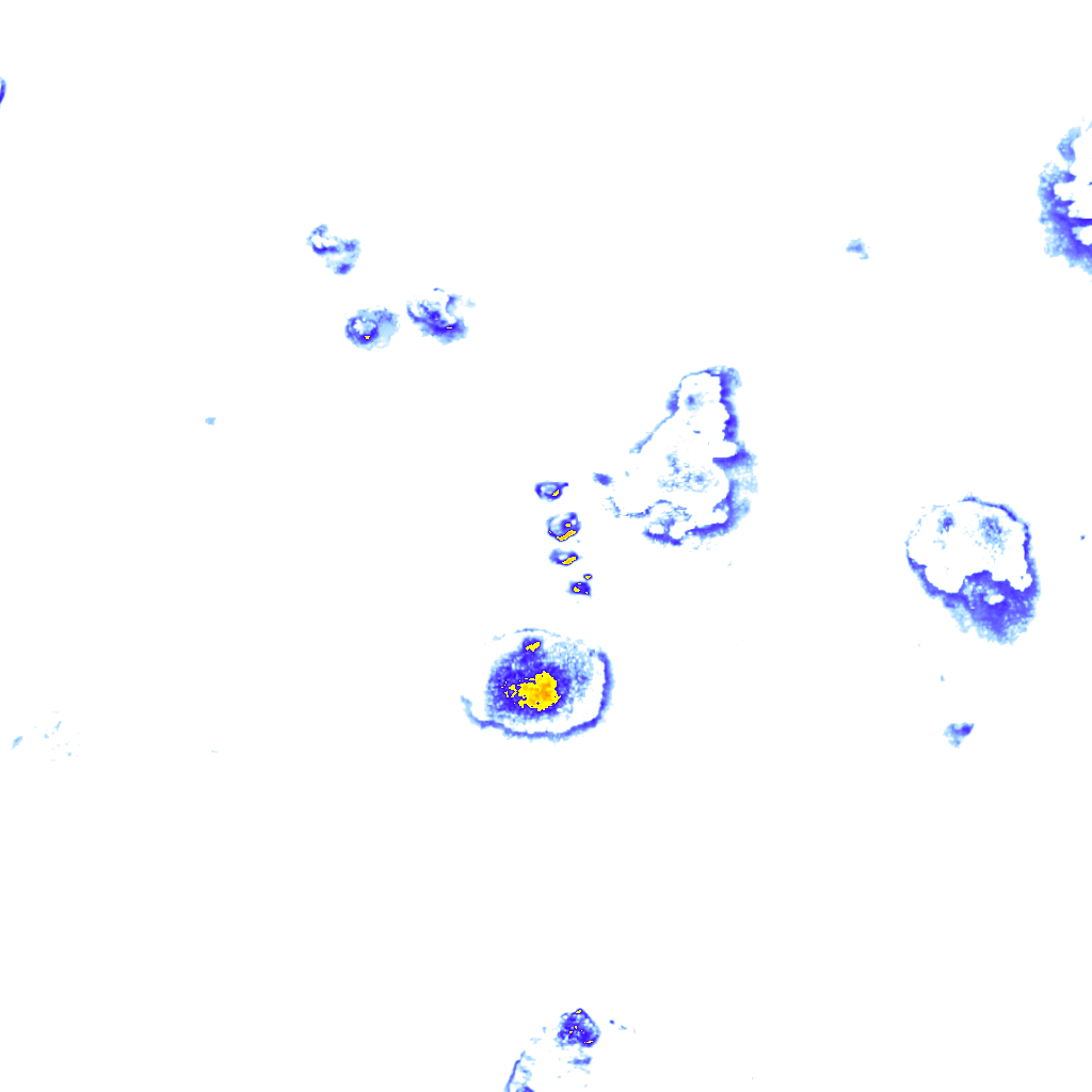 Image Layer