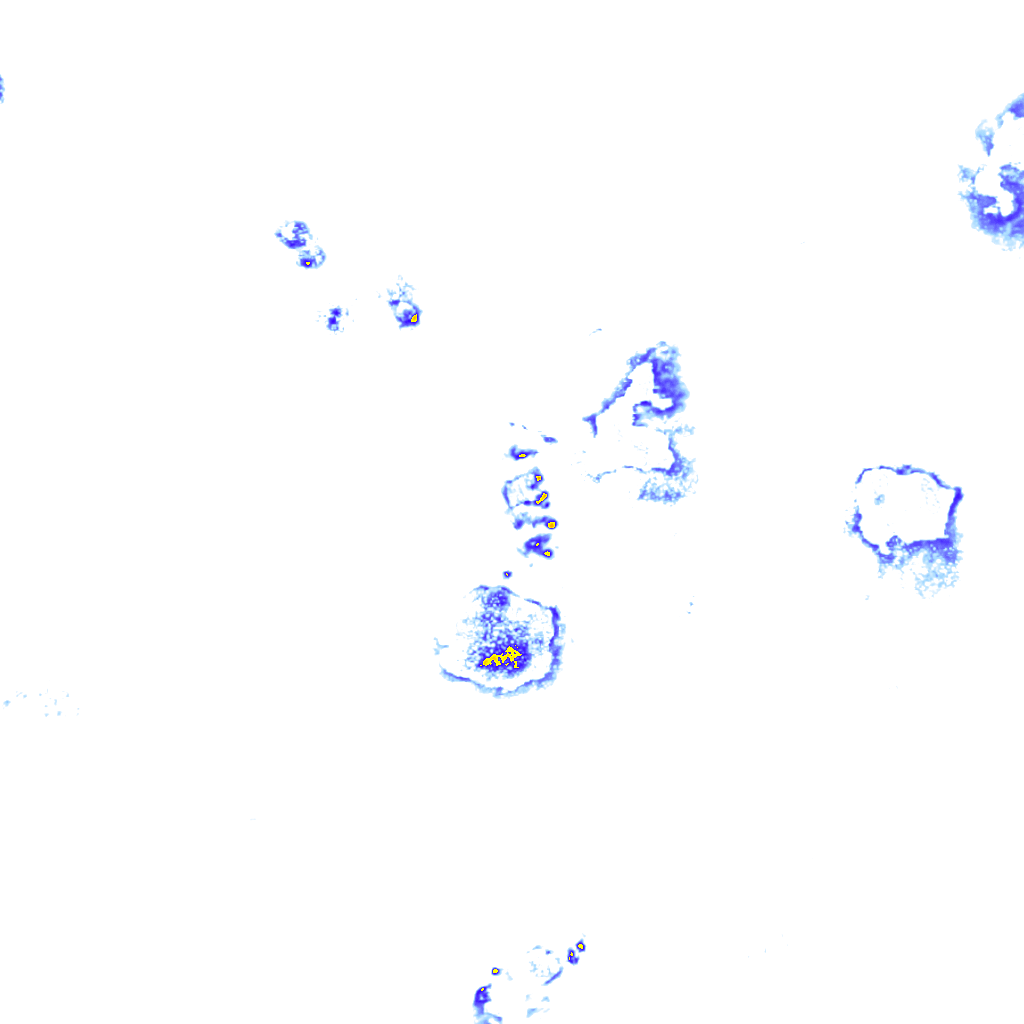 Image Layer