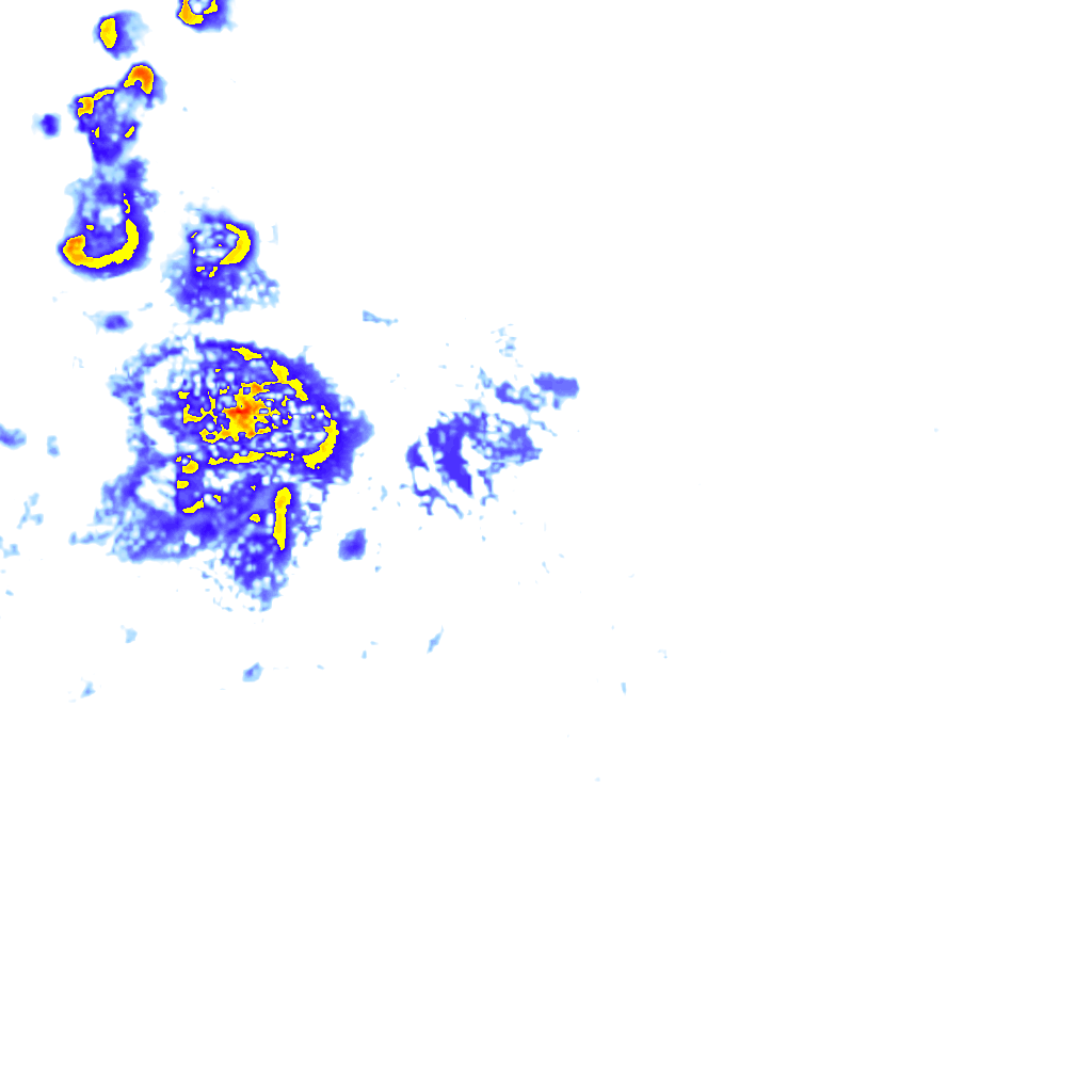 rainLayer