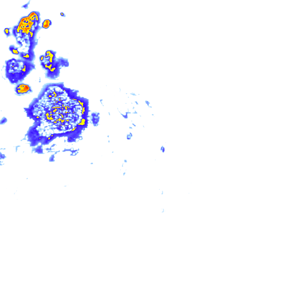 rainLayer