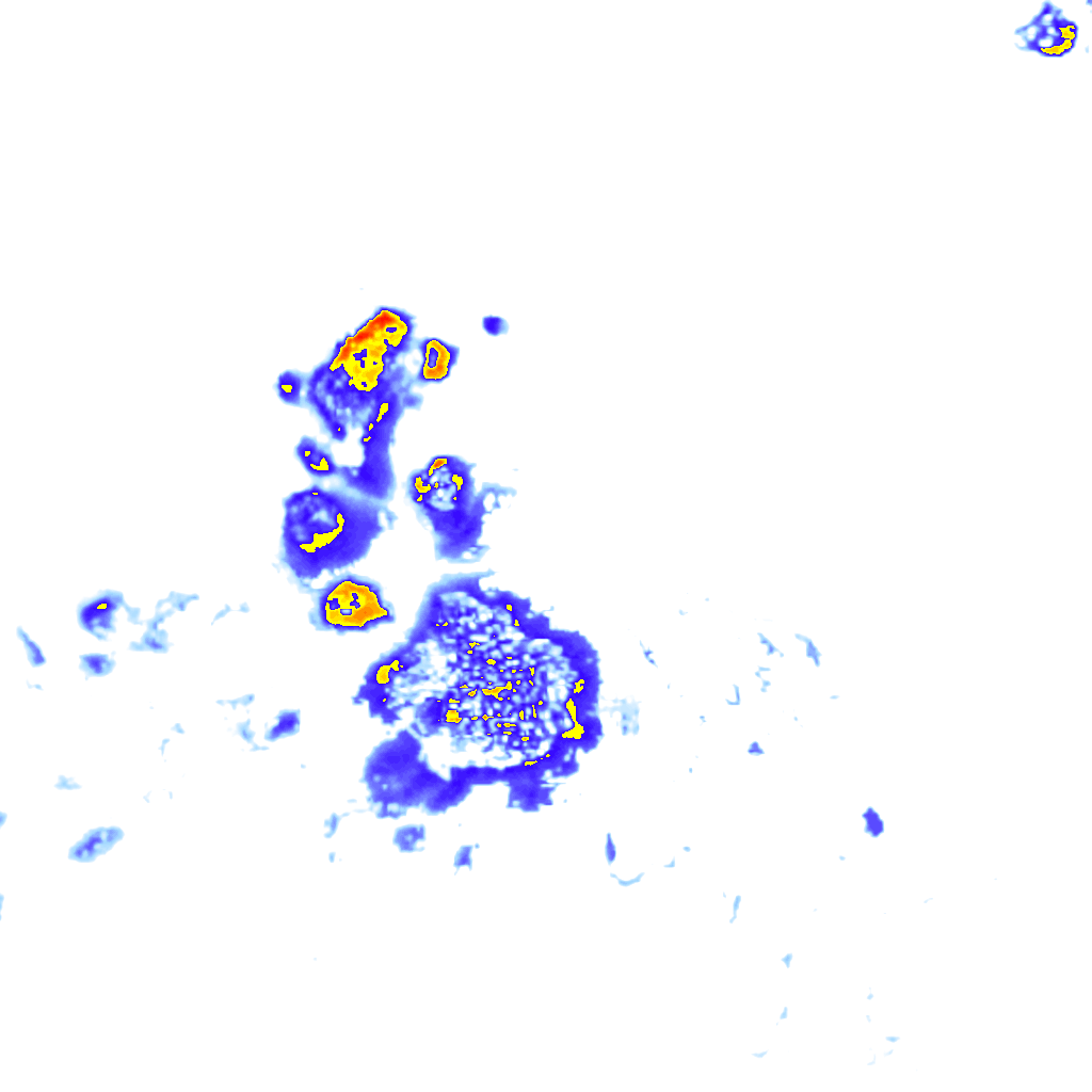 Image Layer