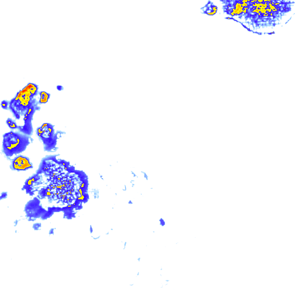 rainLayer