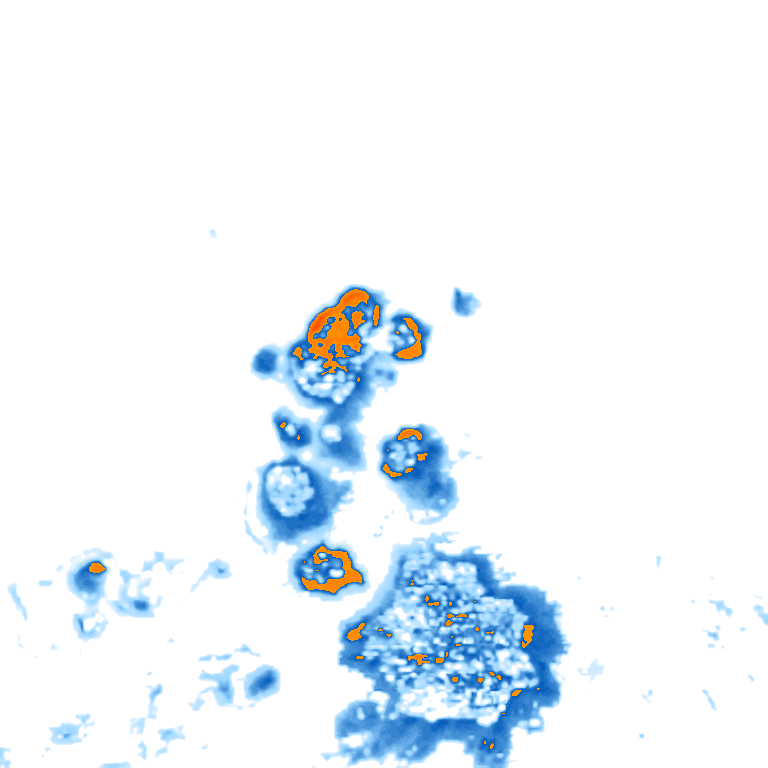 rain layer