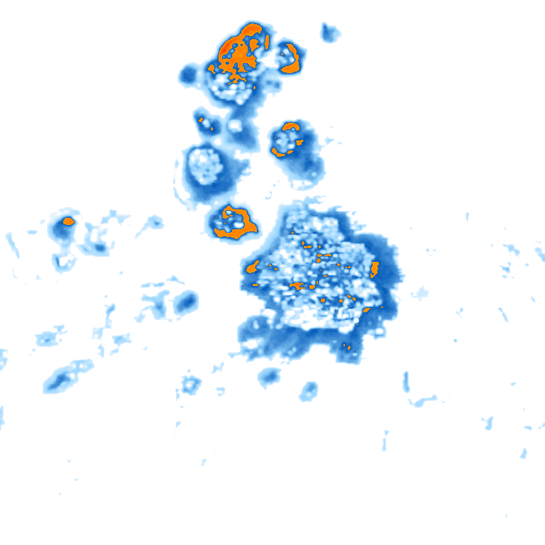 rain layer