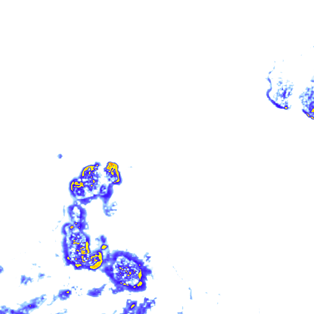 Image Layer