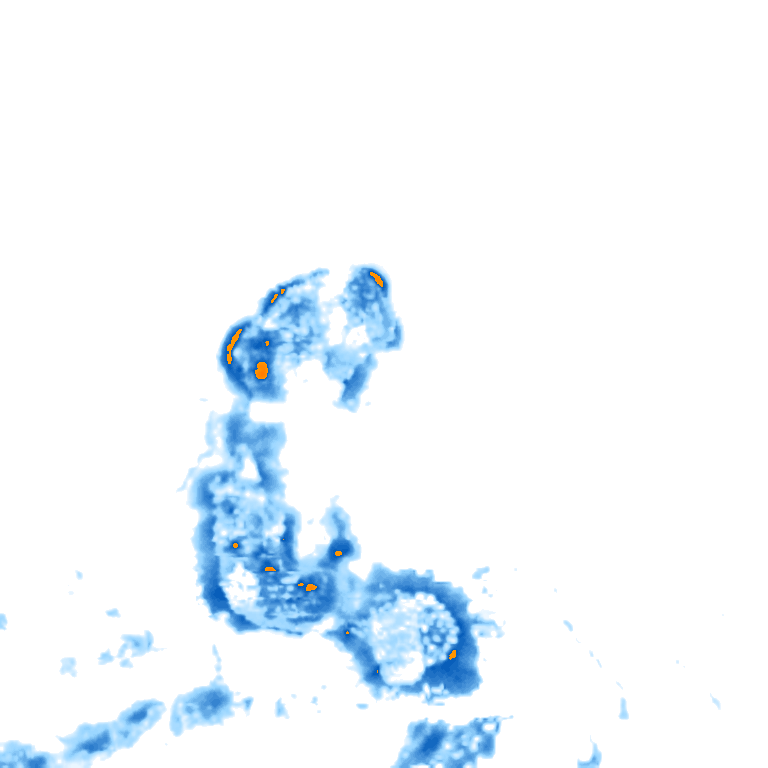 rain layer