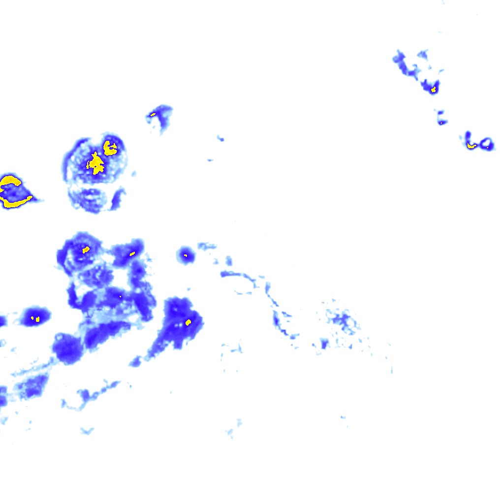 rainLayer