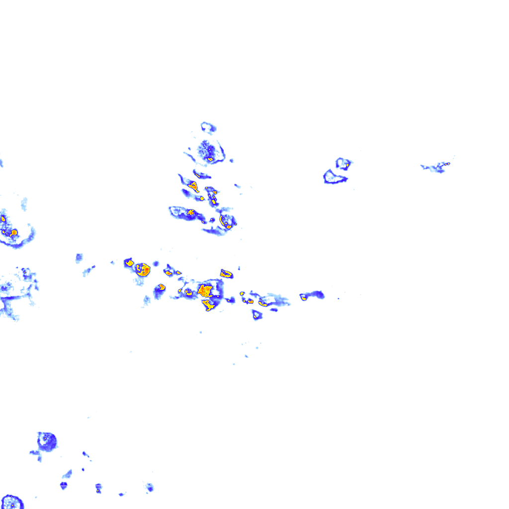 rainLayer