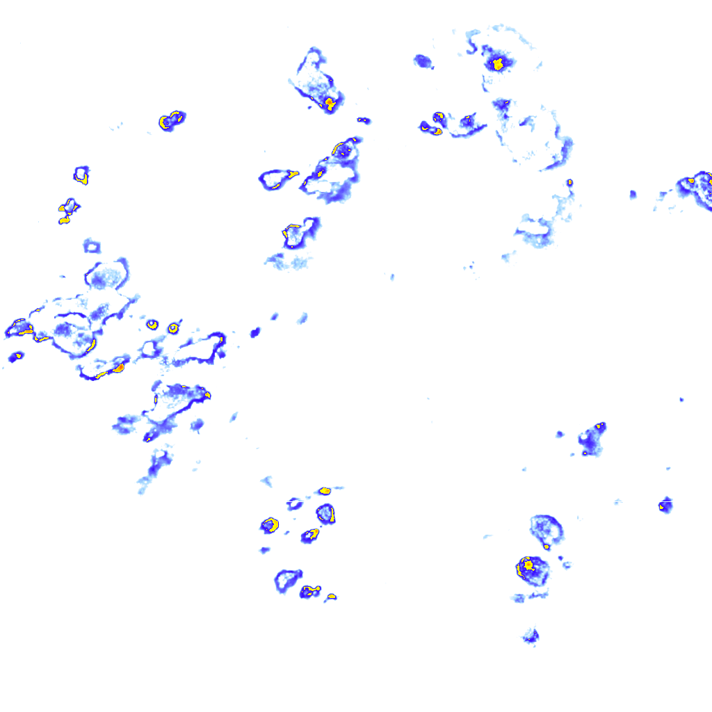 rainLayer