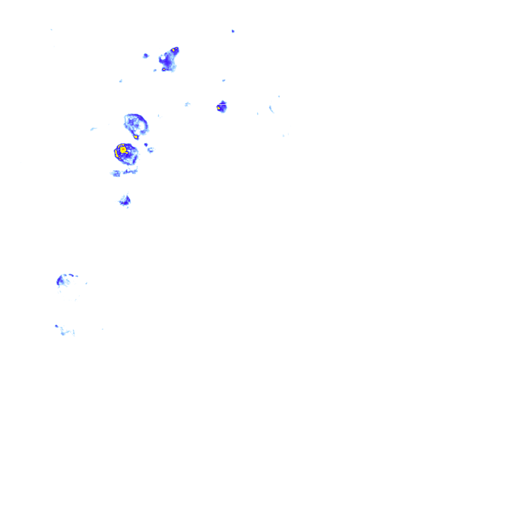 rainLayer