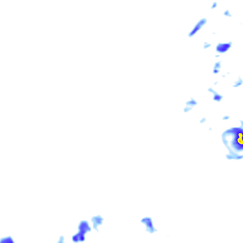 rainLayer