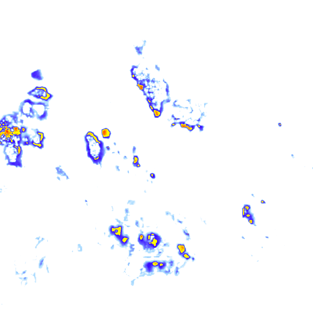 rainLayer