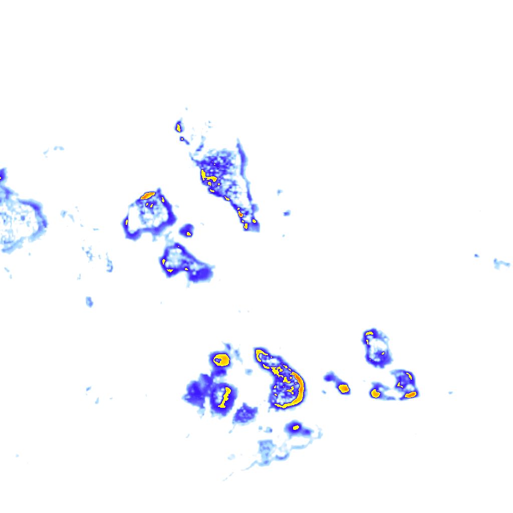Image Layer