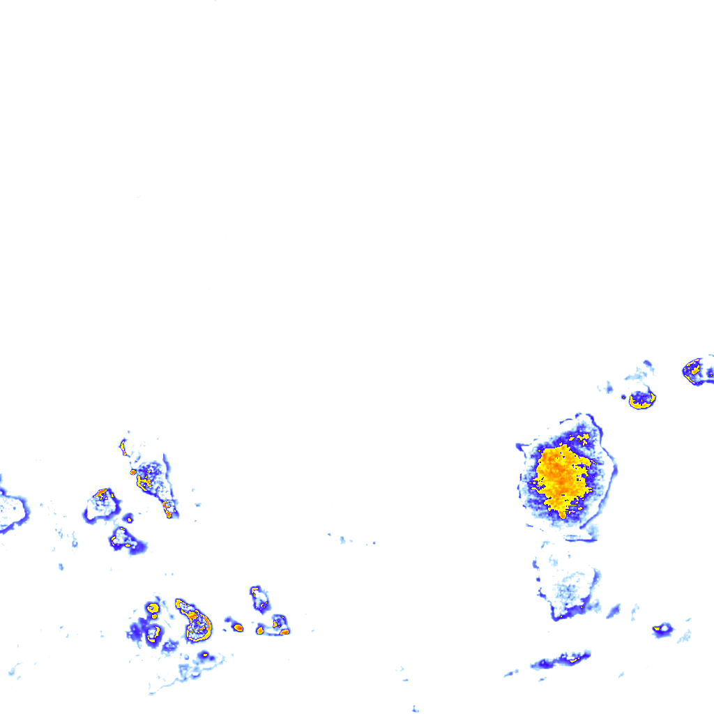 Image Layer