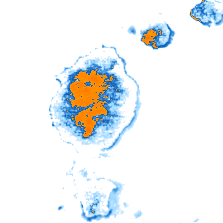 rain layer