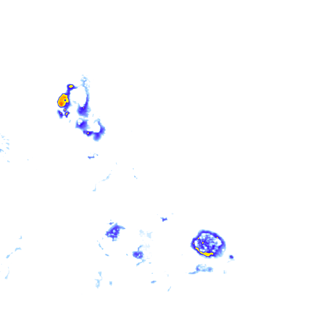 rainLayer