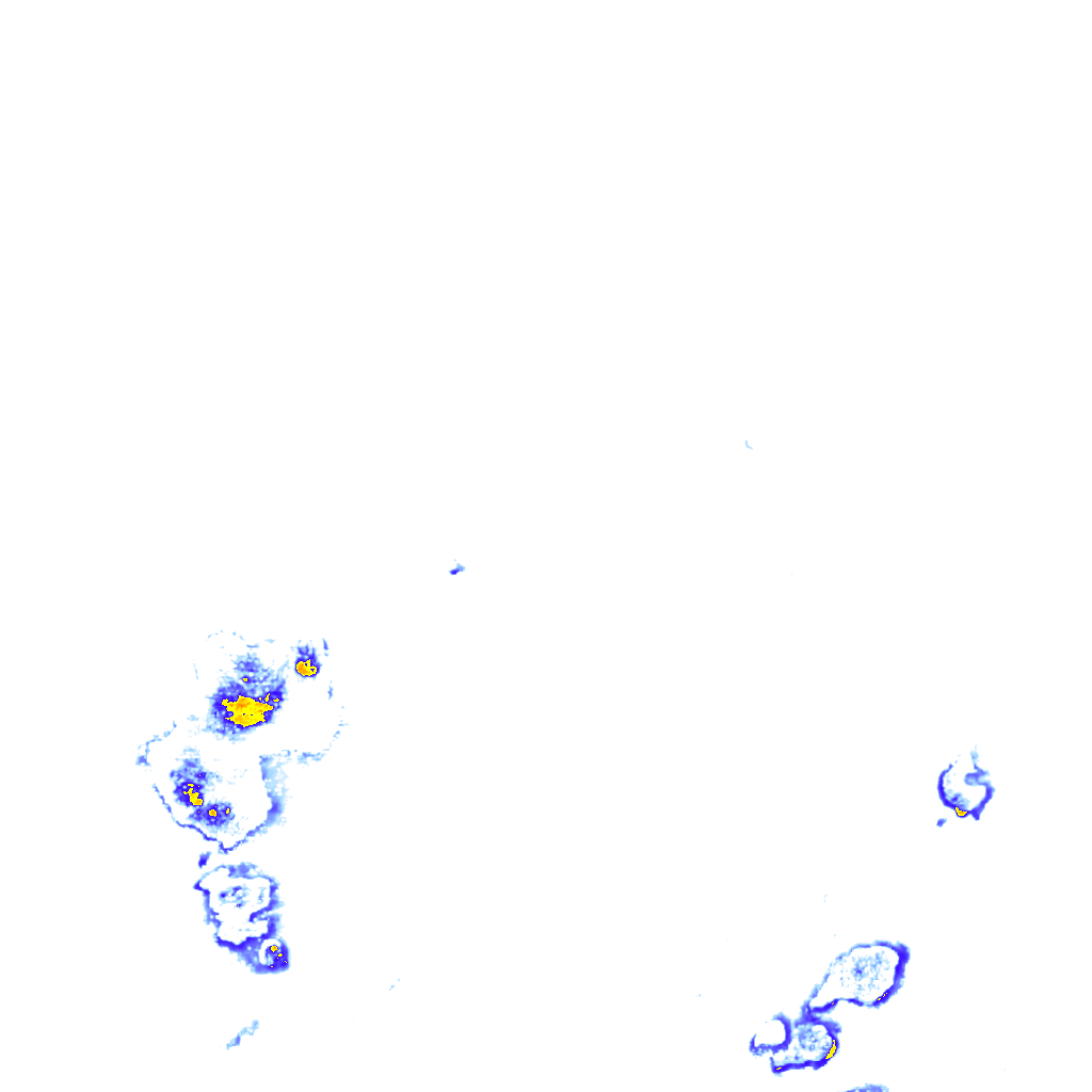 rainLayer