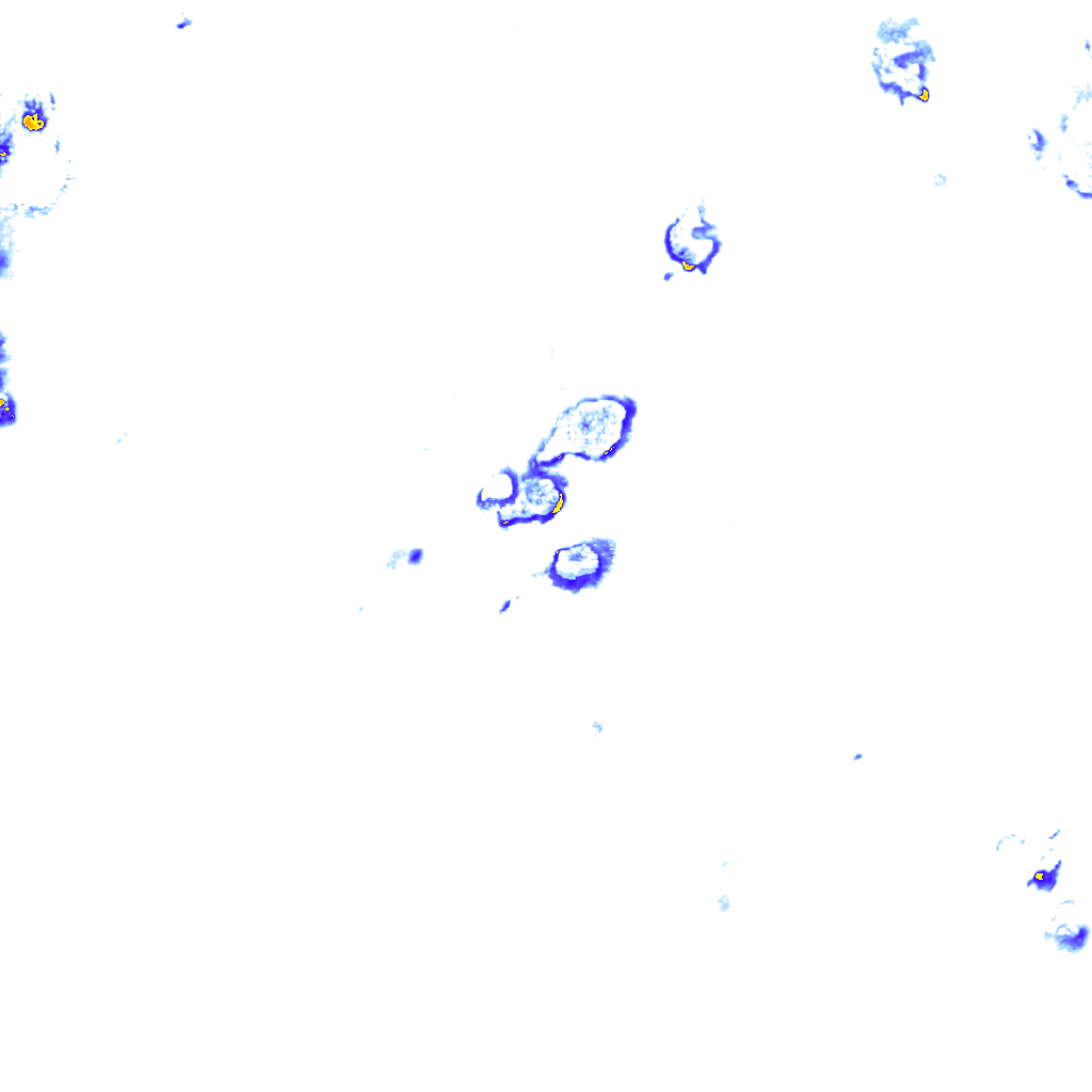 rainLayer